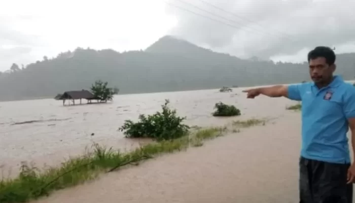 174 H Sawah Dan 98 Rumah Milik 4 Warga Desa Di Kecamatan Tiloan Buol Terendam Banjir