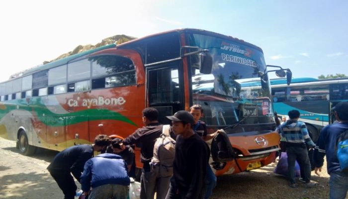 Puncak Hari Raya, Jumlah Penumpang Mudik Naik 95 Persen Di Terminal Tipo Palu