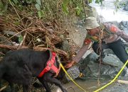 Polda Sulteng Turunkan 2 Anjing Pelacak Bantu Pencarian Korban hilang di Air Terjun Wera