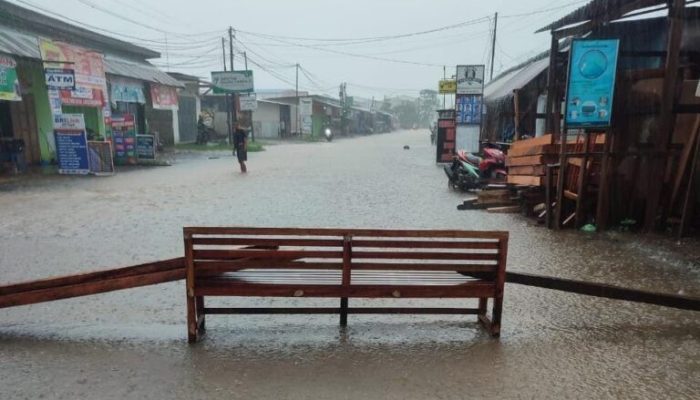 Sikapi Banjir di Desa Labota Morowali, Ekonesia: Perlu Adanya Studi Daya Dukung Lingkungan